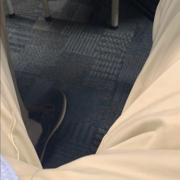 Meet your Posher, Dane - Picture 1 of 1